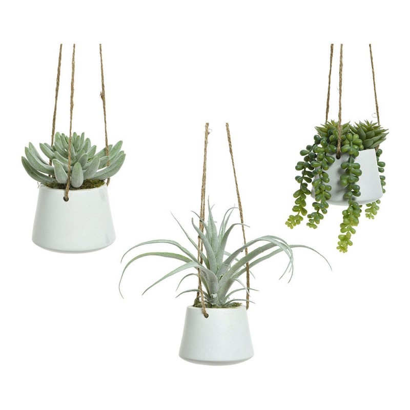 Pianta Decorativa 800073 Succulenta 20 cm Riattaccare Artificiale