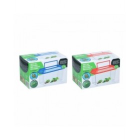 Scatola per insetti Lifetime
