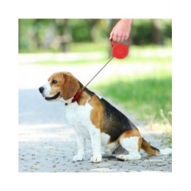 Guinzaglio per Cani Lifetime 3 m
