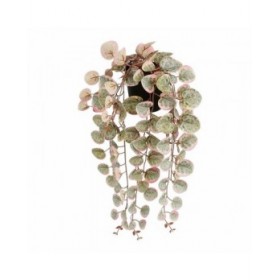 Pianta Decorativa Mica Decorations Ceropegia Woodii 10 x 46 x 12 cm Artificiale Riattaccare