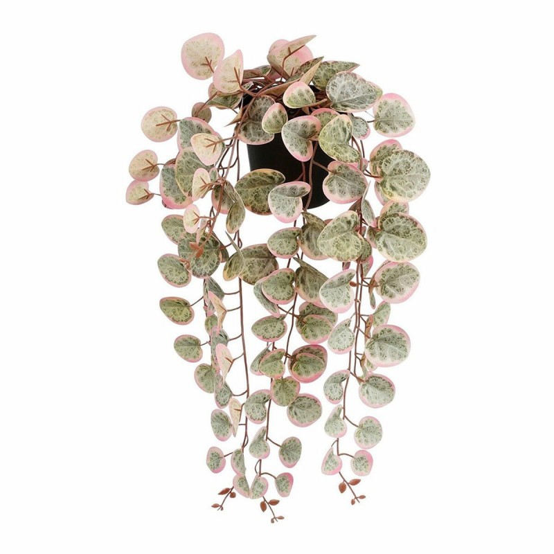 Pianta Decorativa Mica Decorations Ceropegia Woodii 10 x 46 x 12 cm Artificiale Riattaccare