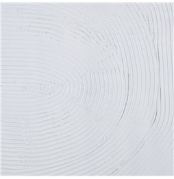 Perno Fischer Terreno 8 x 80 mm 50 Unità