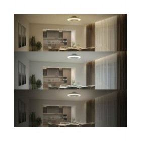 Ventilatore da Soffitto con Luce Philips Bianco