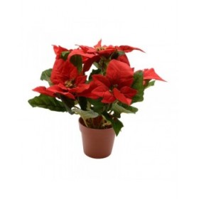 Pianta Decorativa Lifetime Rosso Stella di Natale Ø 27 cm
