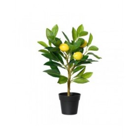 Pianta Decorativa Everlands Plastica Limone 17 x 24 x 43 cm