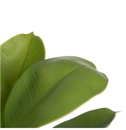Quadro