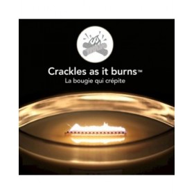Candela Profumata Woodwick Ellipse Candles 453 g