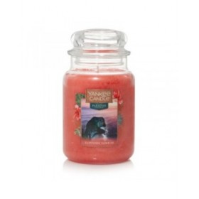 Candela Profumata Yankee Candle Cliffside Sunrise 623 g