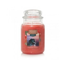 Candela Profumata Yankee Candle Cliffside Sunrise 623 g