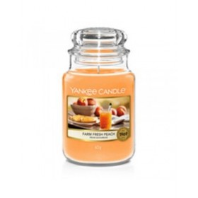 Candela Profumata Yankee Candle Farm Fresh Peach 623 g