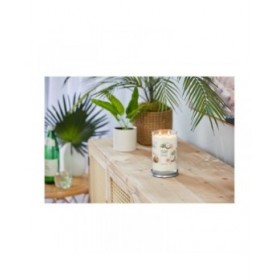 Candela Profumata Yankee Candle Wild Orchid 567 g