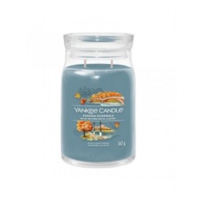 Candela Profumata Yankee Candle Evening Riverwalk 567 g