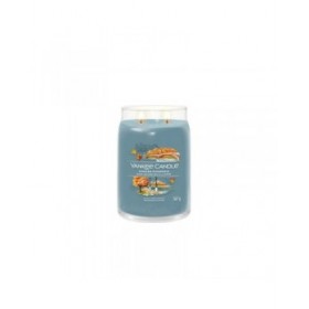 Candela Profumata Yankee Candle Evening Riverwalk 567 g