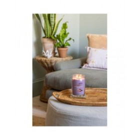 Candela Profumata Yankee Candle Stargazing 567 g