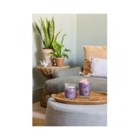 Candela Profumata Yankee Candle Stargazing 567 g