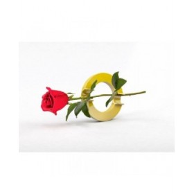 Calamita Novus MEGA Magnet  CIRCLE XL Giallo Cerchi Ø 8 cm