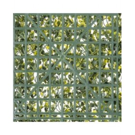 Recinto   50 x 50 x 2 cm