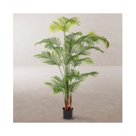Pianta Decorativa Poliuretano Cemento Areca 150 cm