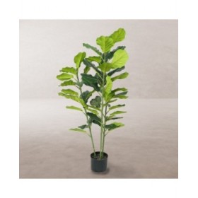 Pianta Decorativa Poliuretano Cemento Ficus 120 cm