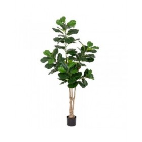 Pianta Decorativa Poliuretano Cemento Ficus 175 cm