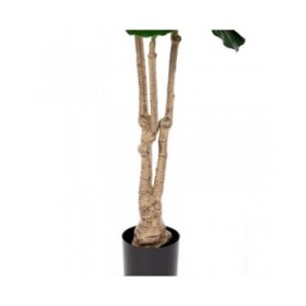 Pianta Decorativa Poliuretano Cemento Ficus 175 cm