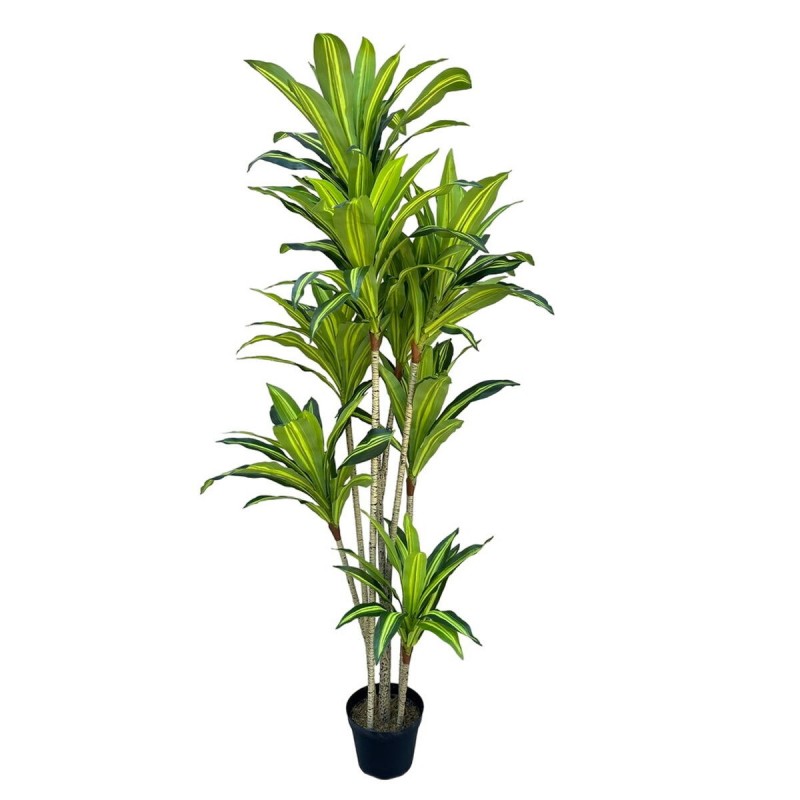 Pianta Decorativa Poliuretano Cemento 180 cm