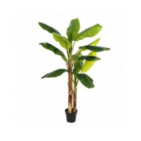 Pianta Decorativa 103 x 95 x 200 cm Verde PVC Banano