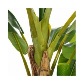 Pianta Decorativa 103 x 95 x 200 cm Verde PVC Banano