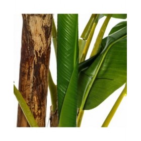 Pianta Decorativa 103 x 95 x 200 cm Verde PVC Banano