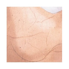 Tela 82,5 x 4,3 x 122,5 cm Donna