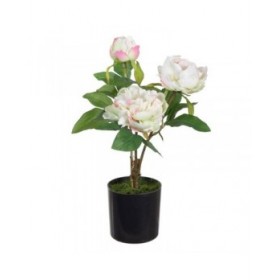 Pianta Decorativa 24 x 20 x 38 cm Crema Peonia