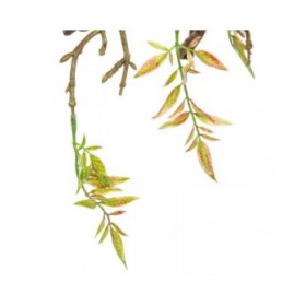 Fiori Decorativi 65 x 30 x 18 cm Bianco Peonia