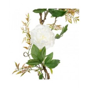Fiori Decorativi 160 x 30 x 24 cm Bianco Peonia