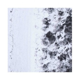 Tela 63 x 93 cm Vaso Fiori
