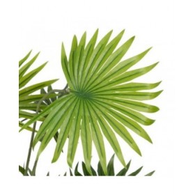 Ramo PVC Polietilene Ferro 60 x 60 x 64 cm