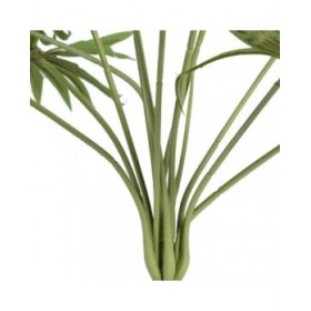 Ramo PVC Polietilene Ferro 60 x 60 x 64 cm