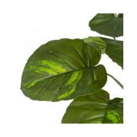 Ramo PVC Polietilene Ferro 70 x 70 x 75 cm