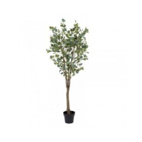 Pianta Decorativa 80 x 75 x 173 cm Verde PVC Eucalipto