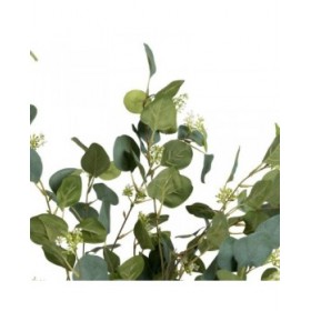 Pianta Decorativa 80 x 75 x 173 cm Verde PVC Eucalipto