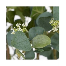 Pianta Decorativa 80 x 75 x 173 cm Verde PVC Eucalipto