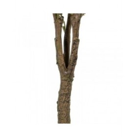 Pianta Decorativa 80 x 75 x 173 cm Verde PVC Eucalipto