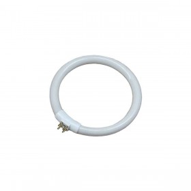 Tubo fluorescente EDM 00301 30287 Bianco 12 W T4 Ricambio Circolare (6500 K)