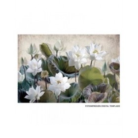 Tela Waterlily 120 x 4 x 80 cm
