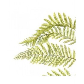 Ramo PVC Ferro 36 x 114 cm