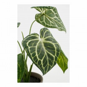 Pianta Decorativa Mica Decorations Caladium Ø 21 x 28 cm Artificiale