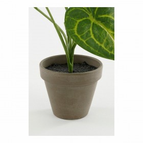 Pianta Decorativa Mica Decorations Caladium Ø 21 x 28 cm Artificiale
