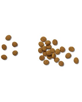 Livello di Schiuma Workpro Alluminio 60 cm Magnetico