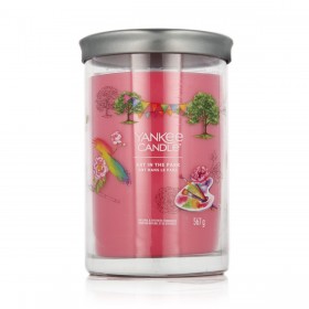 Candela Profumata Yankee Candle Art In The Park 567 g