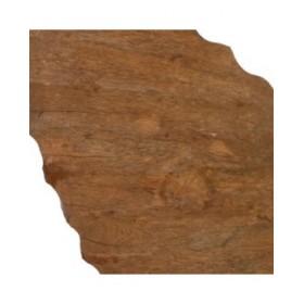 Scultura Beige Legno di mango 49,5 x 9 x 53,5 cm Conchiglia