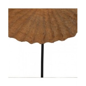 Scultura Beige Legno di mango 49,5 x 9 x 53,5 cm Conchiglia